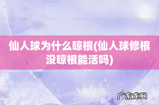 仙人球修根没晾根能活吗 仙人球为什么晾根
