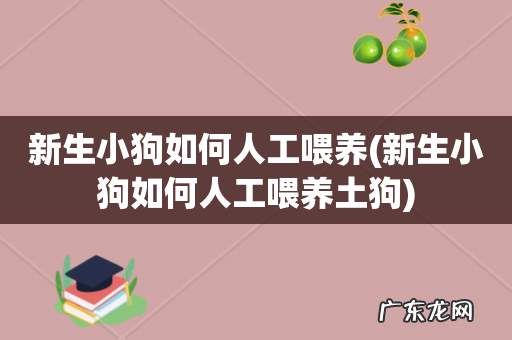 新生小狗如何人工喂养土狗 新生小狗如何人工喂养