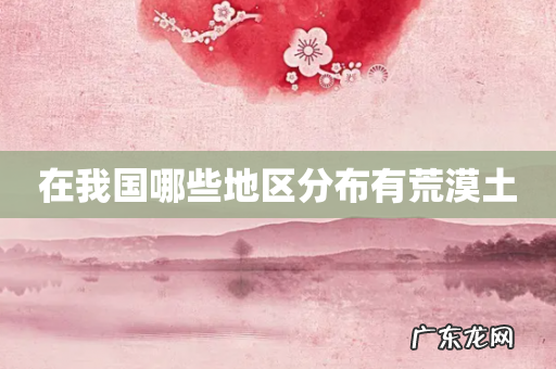 在我国哪些地区分布有荒漠土