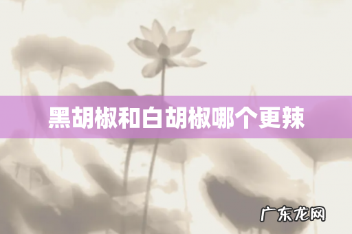 黑胡椒和白胡椒哪个更辣