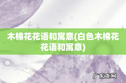 白色木棉花花语和寓意 木棉花花语和寓意