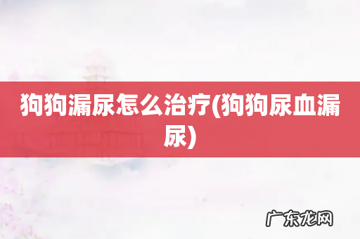 狗狗尿血漏尿 狗狗漏尿怎么治疗