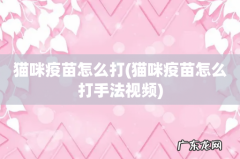 猫咪疫苗怎么打手法视频 猫咪疫苗怎么打