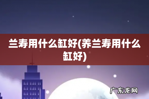 养兰寿用什么缸好 兰寿用什么缸好