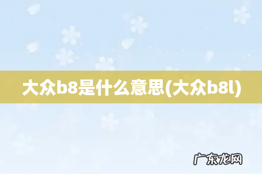 大众b8l 大众b8是什么意思