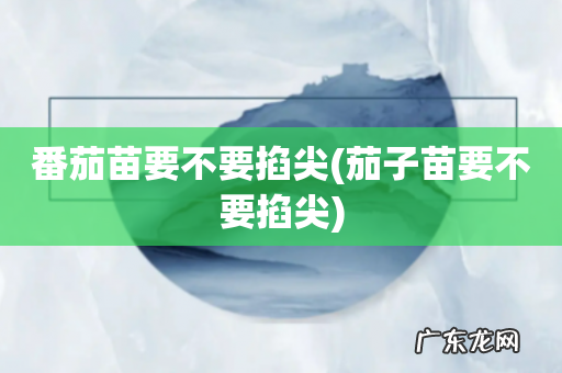 茄子苗要不要掐尖 番茄苗要不要掐尖