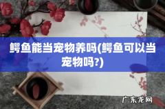 鳄鱼可以当宠物吗? 鳄鱼能当宠物养吗