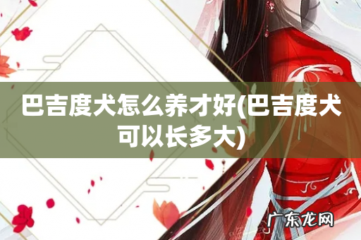 巴吉度犬可以长多大 巴吉度犬怎么养才好