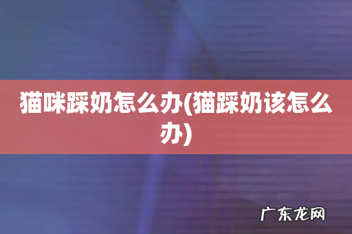 猫踩奶该怎么办 猫咪踩奶怎么办