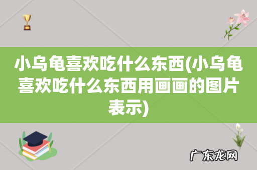 小乌龟喜欢吃什么东西用画画的图片表示 小乌龟喜欢吃什么东西