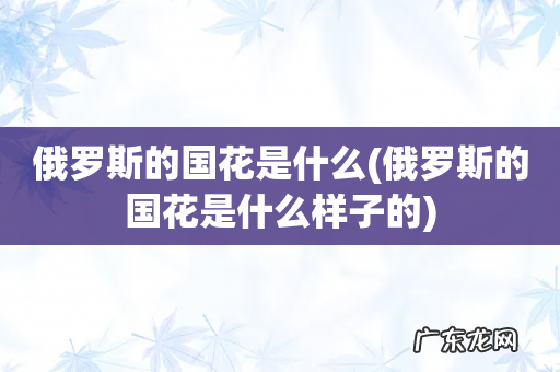 俄罗斯的国花是什么样子的 俄罗斯的国花是什么