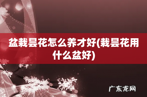 栽昙花用什么盆好 盆栽昙花怎么养才好