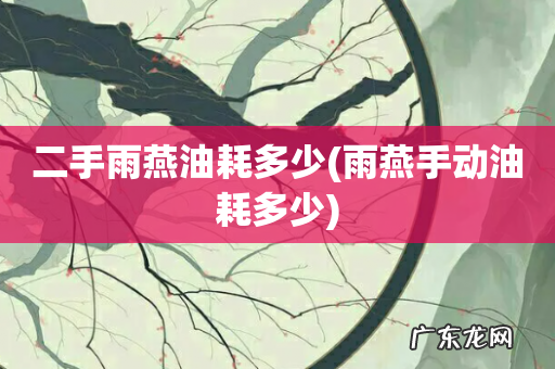 雨燕手动油耗多少 二手雨燕油耗多少