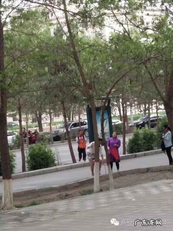 槐树汁液有毒吗 槐树花有毒性吗