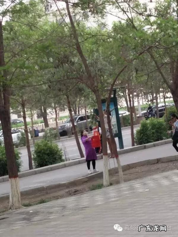 槐树汁液有毒吗 槐树花有毒性吗