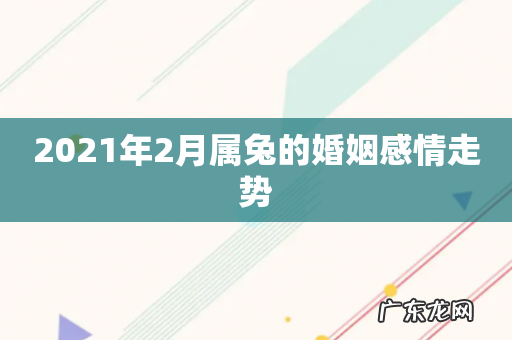 2021年2月属兔的婚姻感情走势