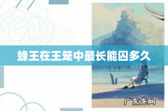 蜂王在王笼中最长能囚多久