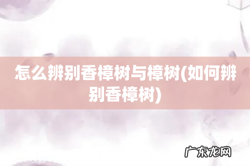 如何辨别香樟树 怎么辨别香樟树与樟树