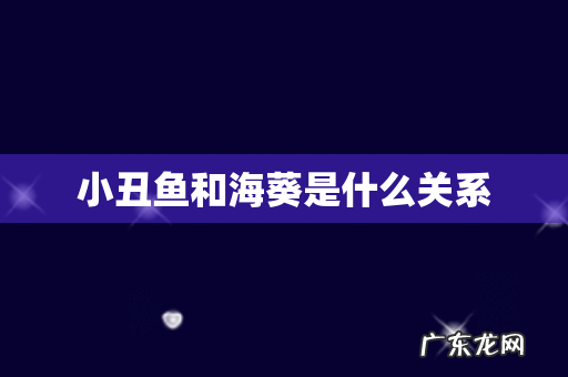 小丑鱼和海葵是什么关系
