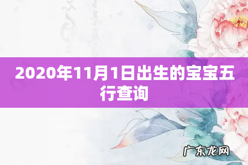 2020年11月1日出生的宝宝五行查询