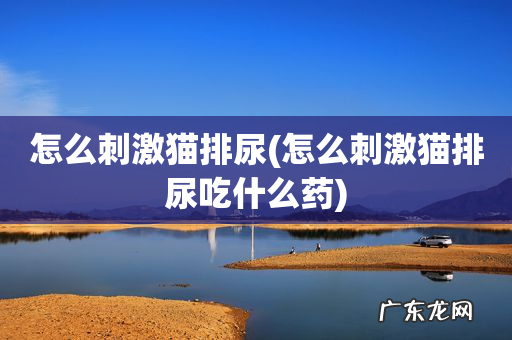 怎么刺激猫排尿吃什么药 怎么刺激猫排尿