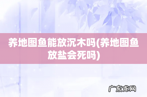 养地图鱼放盐会死吗 养地图鱼能放沉木吗