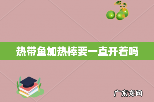 热带鱼加热棒要一直开着吗