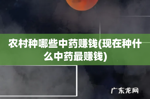 现在种什么中药最赚钱 农村种哪些中药赚钱