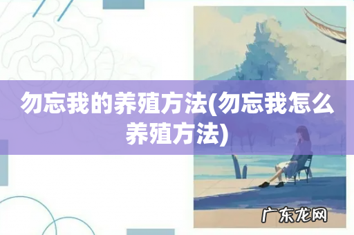 勿忘我怎么养殖方法 勿忘我的养殖方法