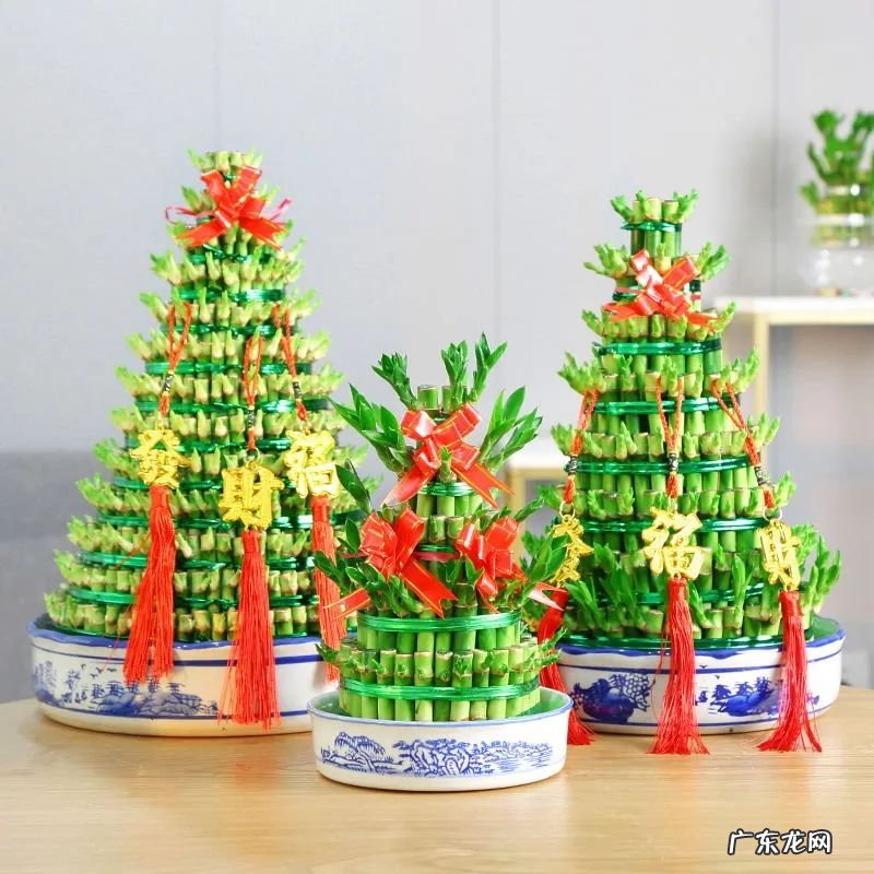 什么是风水轮 竹子风水轮