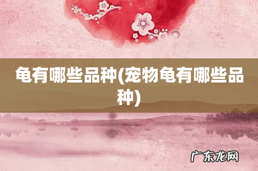 宠物龟有哪些品种 龟有哪些品种