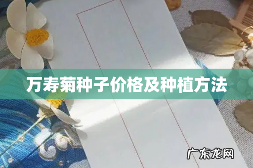 万寿菊种子价格及种植方法