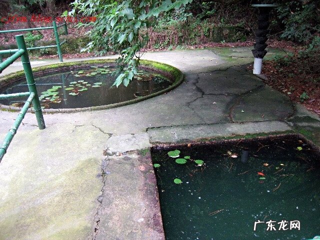 蒋介石祖居风水