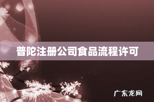 普陀注册公司食品流程许可