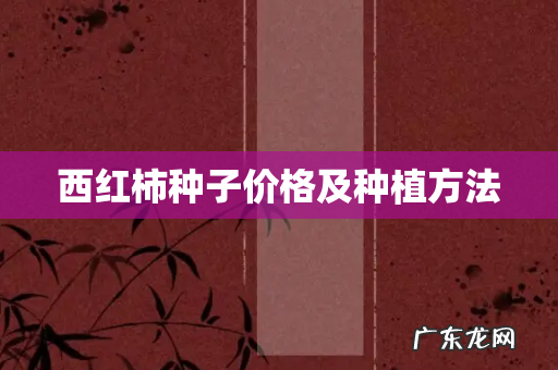 西红柿种子价格及种植方法