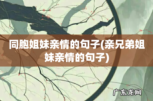 亲兄弟姐妹亲情的句子 同胞姐妹亲情的句子