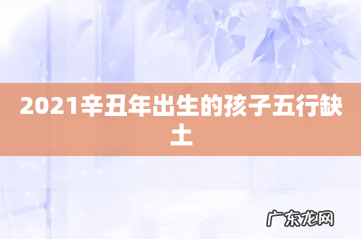 2021辛丑年出生的孩子五行缺土
