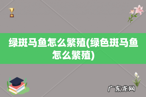 绿色斑马鱼怎么繁殖 绿斑马鱼怎么繁殖
