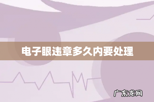 电子眼违章多久内要处理