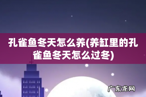 养缸里的孔雀鱼冬天怎么过冬 孔雀鱼冬天怎么养