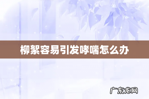 柳絮容易引发哮喘怎么办