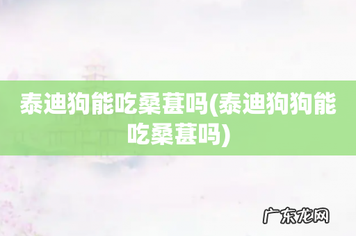 泰迪狗狗能吃桑葚吗 泰迪狗能吃桑葚吗