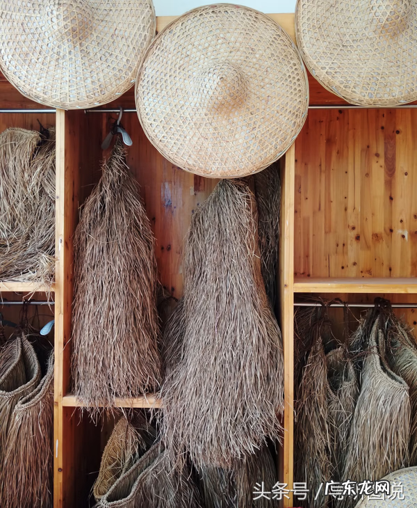 贵州织金洞 贵州织金桂果风水