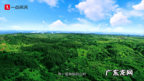 广东雷州十大风水宝地 湛江风水宝地麻皮岭