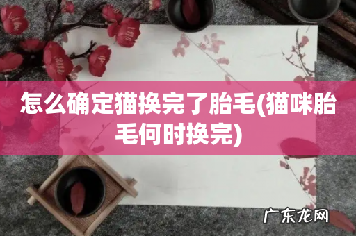猫咪胎毛何时换完 怎么确定猫换完了胎毛
