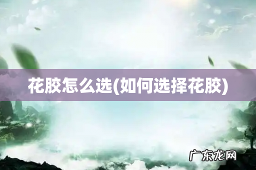 如何选择花胶 花胶怎么选