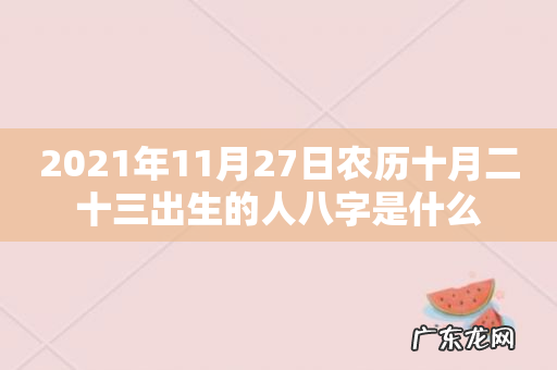 2021年11月27日农历十月二十三出生的人八字是什么