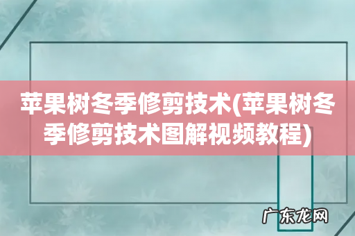 苹果树冬季修剪技术图解视频教程 苹果树冬季修剪技术
