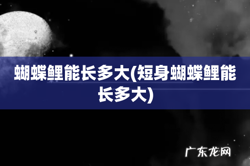 短身蝴蝶鲤能长多大 蝴蝶鲤能长多大