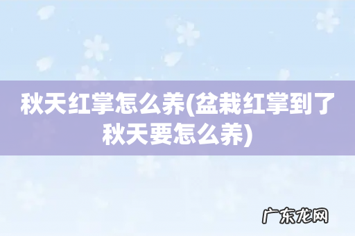 盆栽红掌到了秋天要怎么养 秋天红掌怎么养